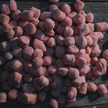 Beet Gnocchi